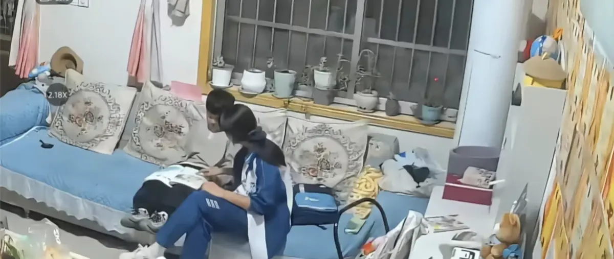 《姐弟情深》相关资源图片