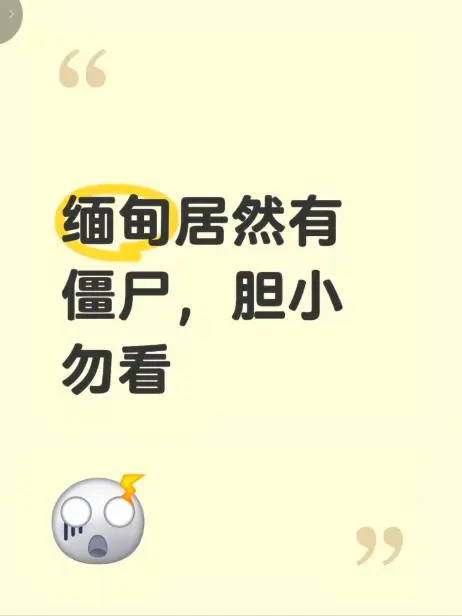 《缅甸僵尸出土事件》视频最新高清完整版在线播放 - 无删减揭秘缅北神秘事件真相