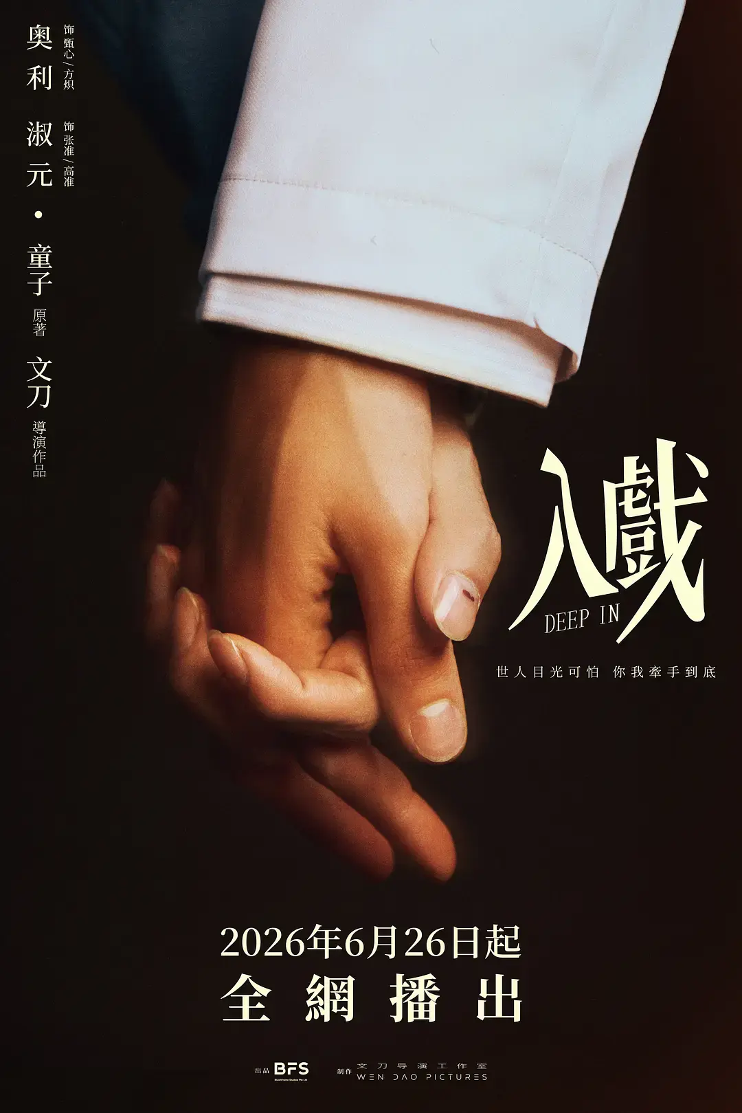 《入戏》1080P高清播放-2026双男主爱情剧《入戏》全集-无广告免费在线观看