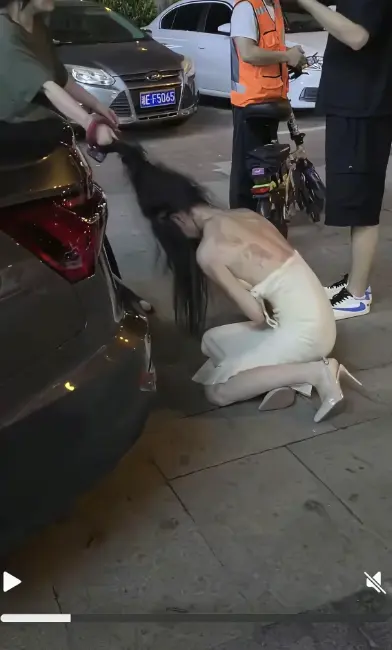 《白裙女子被抓头发跳河》事件始末1-10分钟全记录-白裙女子被揪头发跳河后续真相-湘E车牌高清完整版免费在线播放